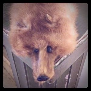 Vintage Mink Real Fur Pelt